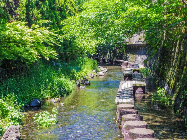 自然の音を聴くイメージを小川の画像で表現