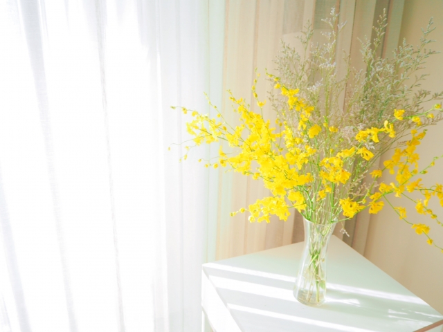 自分の感情や望みを取り戻すイメージを、窓越しに光の当たった黄色の花の画像で表現