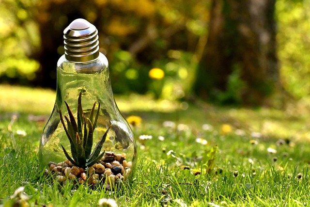 命の守るためのシステムのイメージを電球の中に入った植物の画像で表現