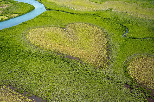 心の土台のイメージをハート型の芝生の画像で表現