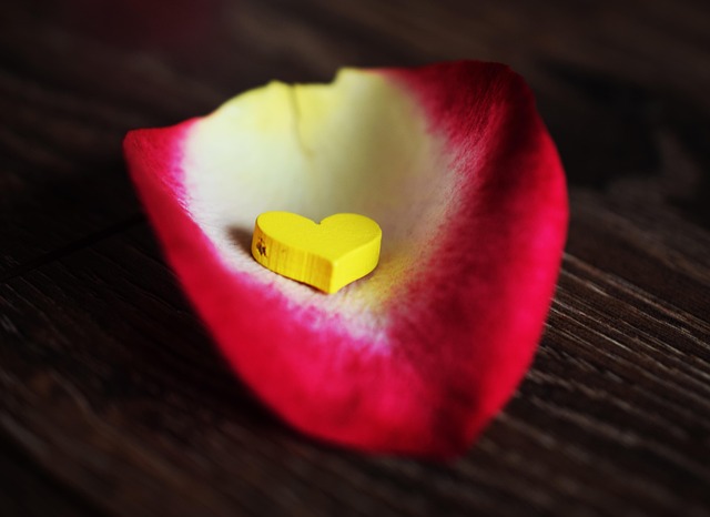 本来の自分らしさが戻るイメージを、花びらの中のハートの画像で表現