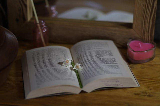 読書のイメージを、鏡の前に置かれた本の画像で表現