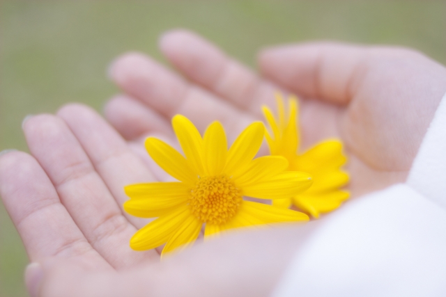自分の存在が受け入れられたイメージを、手のひらの乗せた黄色の花の画像で表現