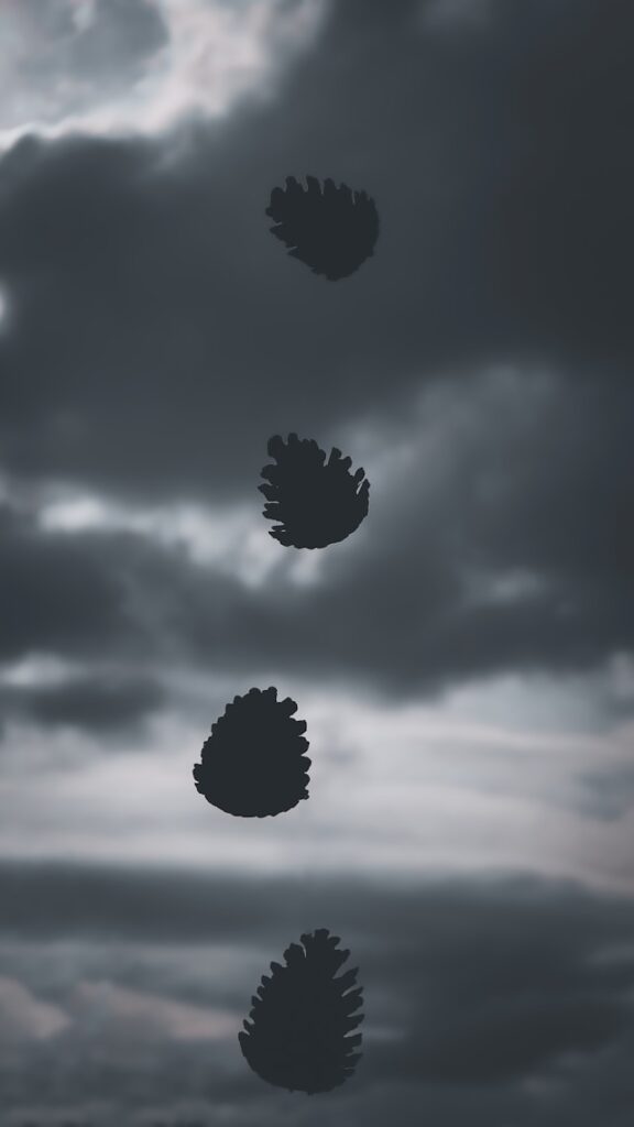 私は大切にされていないというイメージを、まつぼっくりが空から落ちる画像で表現
