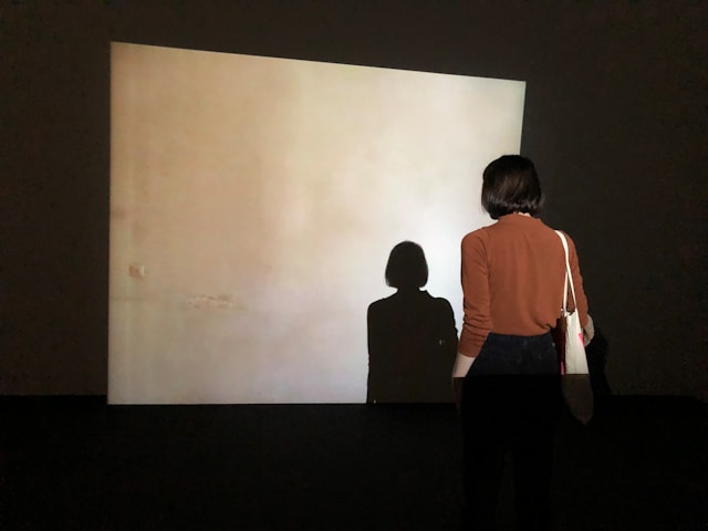 投影のイメージを、スクリーンに映し出された自分の姿を見る女性の画像で表現