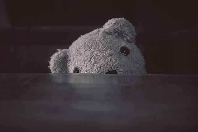 自分を隠して生きるイメージを、テーブルに隠れる白黒のぬいぐるみの画像で表現