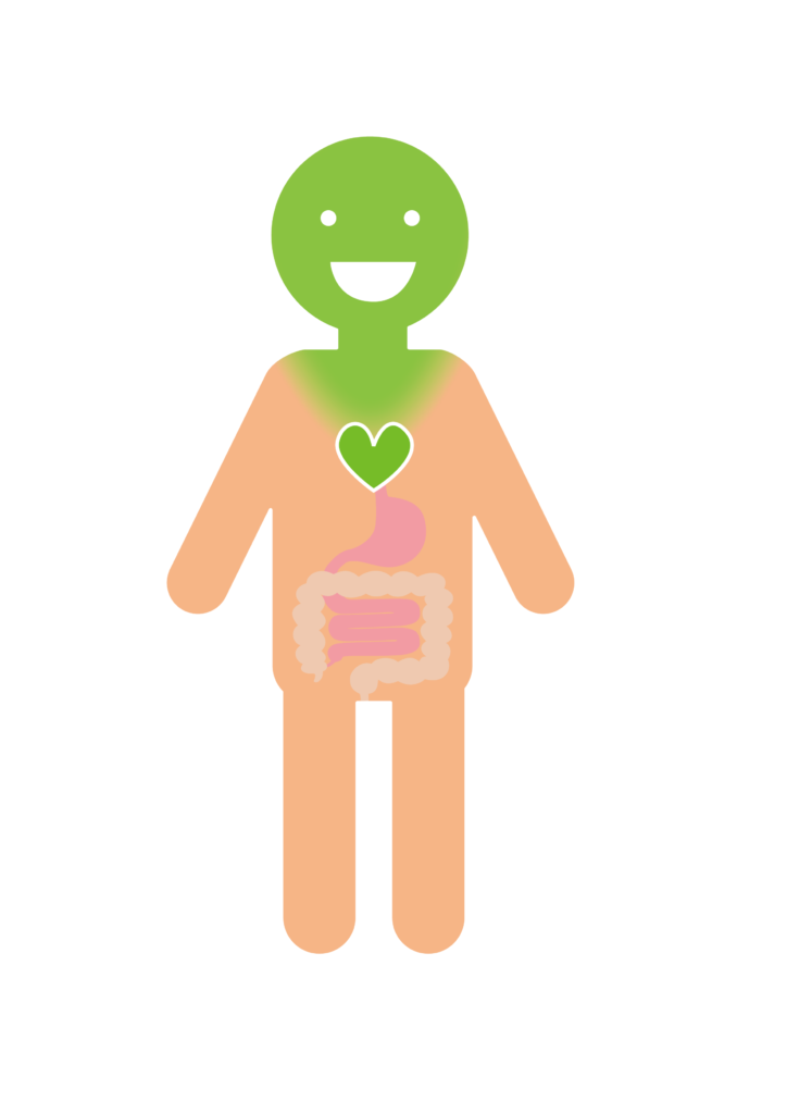 腹側迷走神経複合体のイメージを、緑色の人形のイラストで表現