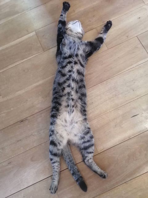 アファメーションに向かない、お手上げのイメージ