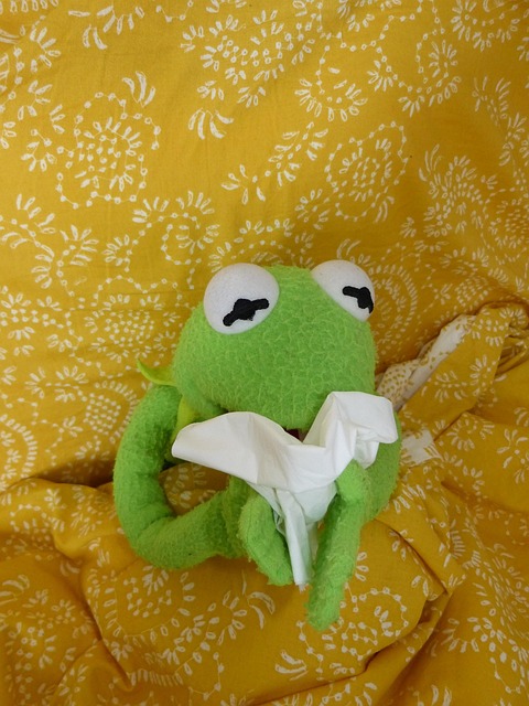 ウイルスや細菌もストレッサーになるというイメージを、風邪をひいて鼻をかんでいるカエルのぬいぐるみの画像で表現