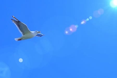 心地よく生きるイメージ