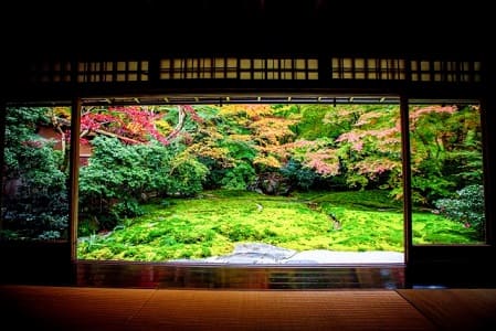心の平穏のイメージの庭の景色