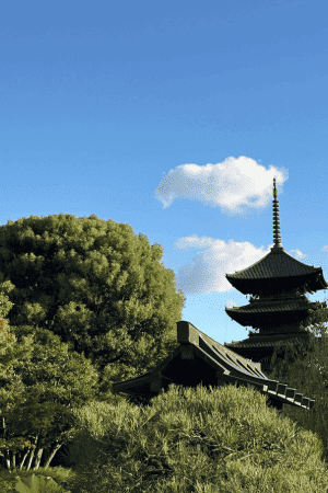 東寺